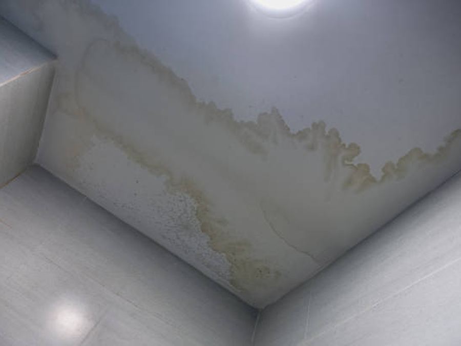 Brown water stain spreading across a white ceiling and wall corner